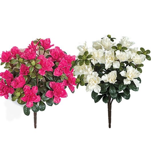 16 Inch Outdoor Azalea Bush | White or Beauty