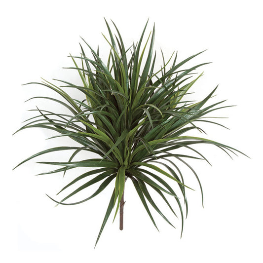 28 Inch Outdoor Liriope Bush x 4