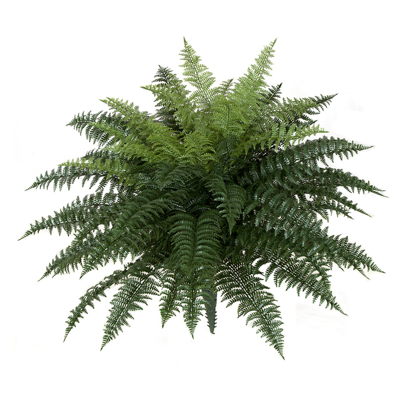 34 Inch x 26 Inch Large Ruffle Fern made for Outdoor Use