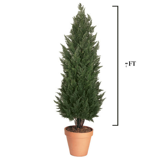 7 Foot Outdoor Cypress Shrub