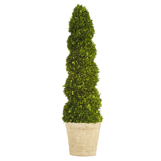 PRESERVED BOXWOOD SPIRAL TOPIARY POTTED 51''H (PACK OF 2)